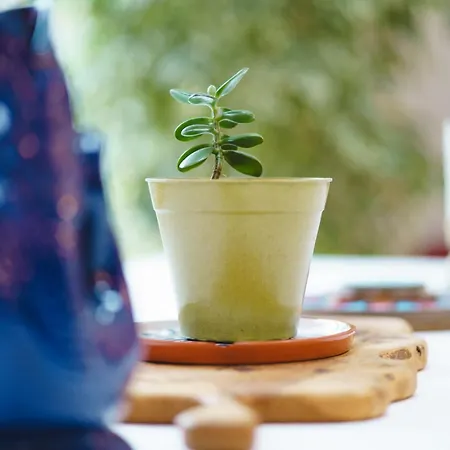 Casa vacanze Acer View