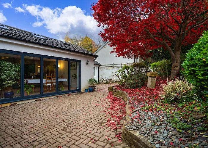 Acer View 펜션 리즈